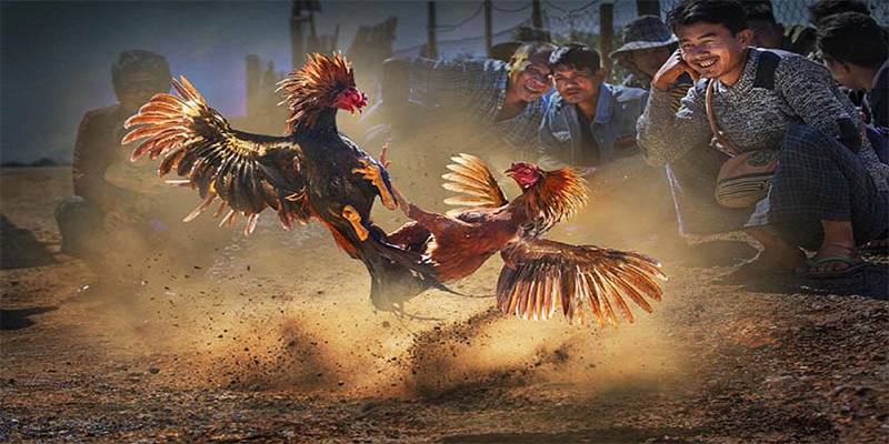 32win chơi bắn cá đổi thưởng