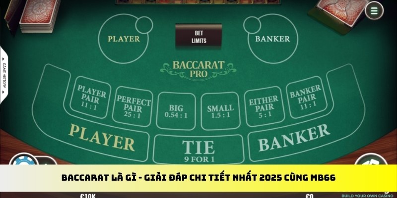32win gà chọi cu cần