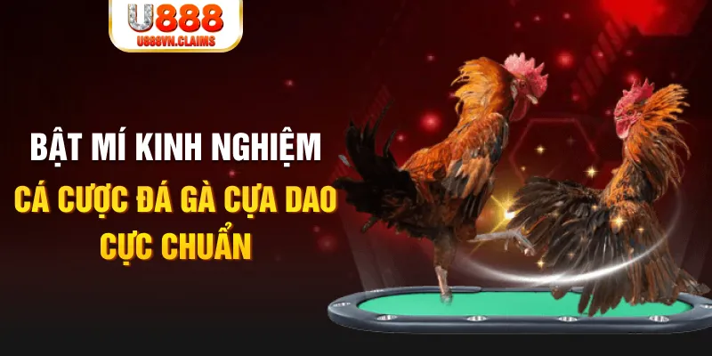 32win tỷ lệ cá cược châu á là gì