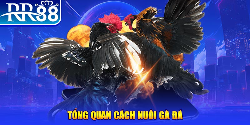 32win VA Điện Tử