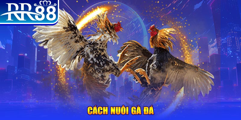32win xổ số an giang