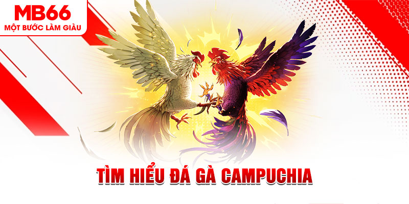 32win đá gà trực tiếp