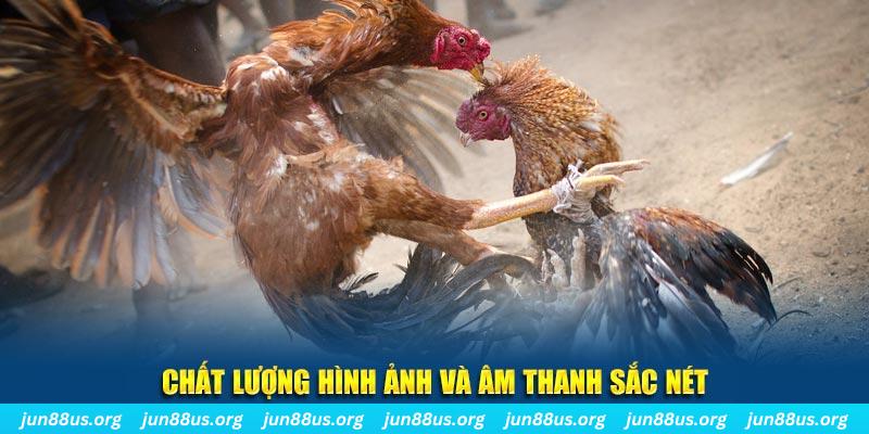 32win đăng nhập roulette live