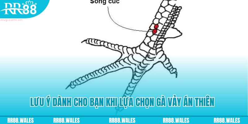 32win xổ số đồng nai