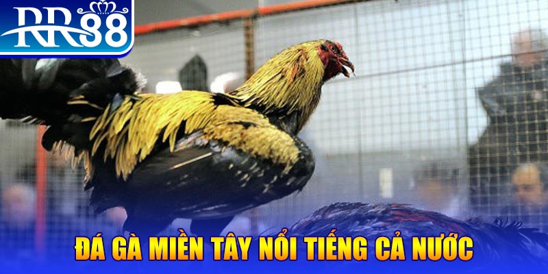 32win JILI Game Bài 3d