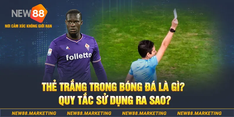 32win gà chọi mộc hóa