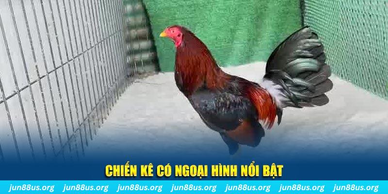 32win chạy quảng cáo cho game bài bị phạt như thế nào