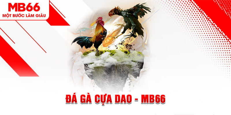 32win đá gà sv388 gold